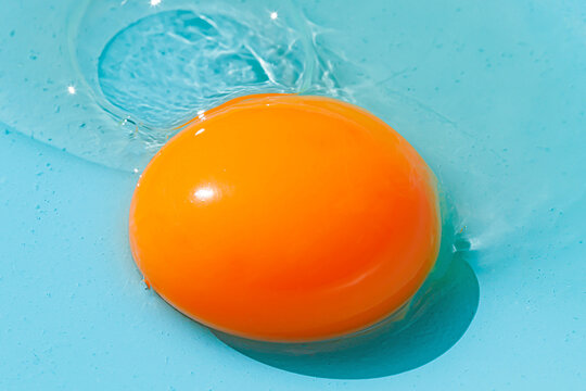 Orange egg yolk on blue background