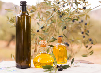 Obraz na płótnie Canvas black ripe olives, olive oil in a glass traditional bottle on table in an olive garden