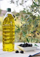 olive oil in plastic bottle and black olives on background of olive branches in garden