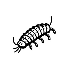 Centipede vector illustration isolated on transparent background