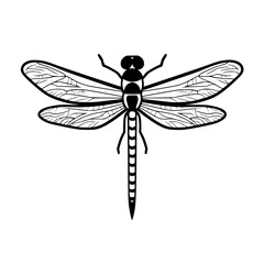 Dragonfly vector illustration isolated on transparent background