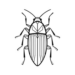 Cockroach vector illustration isolated on transparent background