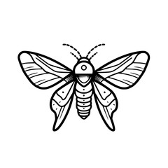 Plakat Moth vector illustration isolated on transparent background
