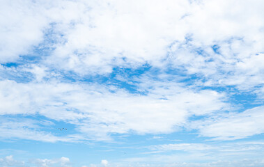 Beautiful blue sky and white clouds abstract background. Cloudscape background. Blue sky and fluffy white clouds on sunny day with birds flying. Nature weather. Beautiful blue sky on a summer day.
