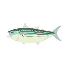 グルクマ（グルクマー）。フラットなベクターイラスト。
Indian mackerel. Flat designed vector illustration.
