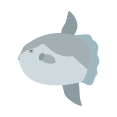 マンボウ。フラットなベクターイラスト。
Sun fish. Flat designed vector illustration.