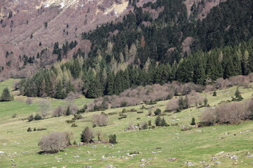 Naklejka premium Hautes-Pyrénées - France