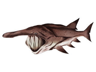Fototapeta premium Illustration of american paddlefish in realistic traditional style