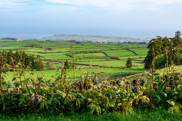 Terceira Island Landscape. Beautiful Green Terceira Island Landscape.  Azores Archipelago, in Atlantic Ocean, Portugal.