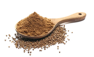 Coriander powder in wooden spoon and grains isolated on white, side view