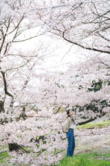 Naklejka premium 桜の花と女性