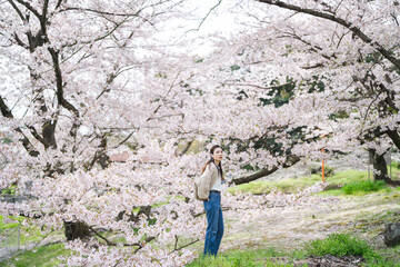 Naklejka premium 桜の花と女性