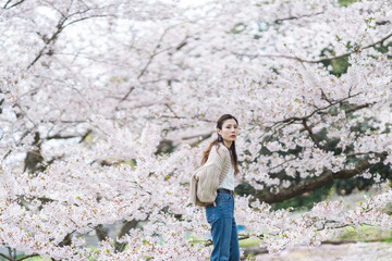 Fototapeta premium 桜の花と女性