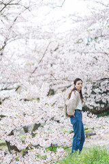 桜の花と女性