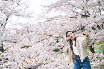 Naklejka na ściany i meble 桜の花と女性