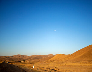 Fototapeta na wymiar Desert steppe in Central Asia