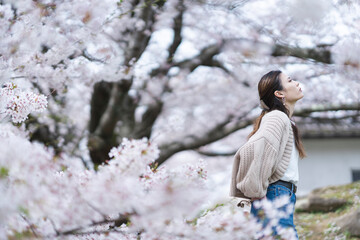 桜の花と女性