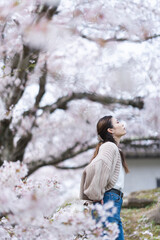 桜の花と女性