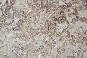 Brown polished stone texture with abstract pattern, design background, uneven surface. Copy space. Selective focus.