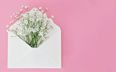 White envelope with small gypsophila flowers on pink background.