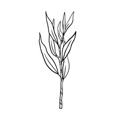Line art clipart with branch
