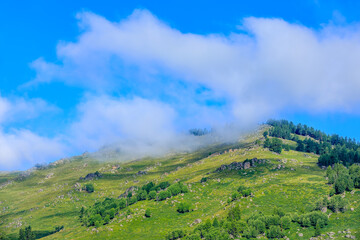 Fototapeta premium Green mountain and forest with sky cloud natural scenery