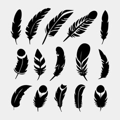 set of feathers vector design isolated on white