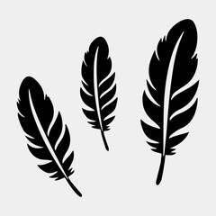 set of feathers vector design