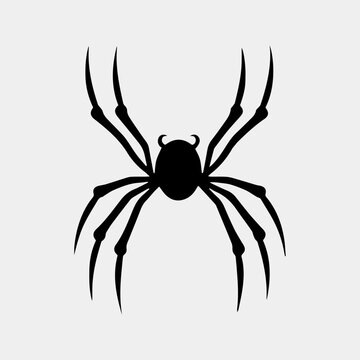Vector illustration of spider silhouette on white background