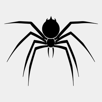 Vector illustration of spider silhouette on white background