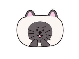 chubby cat