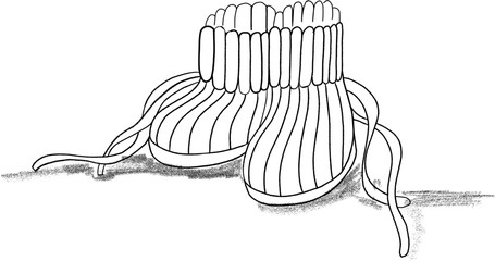 Obraz premium Llittle shoes for baby newborn vector hand drawn illustration isolated on white background