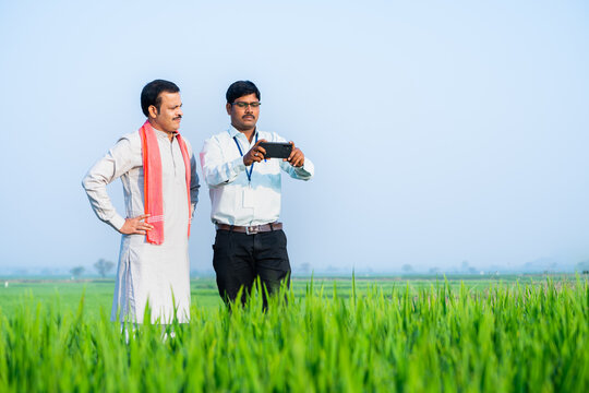 banker or officer with farmer taking crop photos for growth analysis on mobile phone at farmland - concept of technology, modern farming and examines paddy plantation.