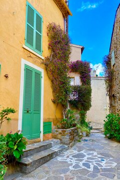 Green door with flowers in the town of bormes les mimosas