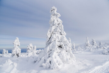 Fototapeta na wymiar Winter mountain landscape, Karkonosze in Poland in winter.