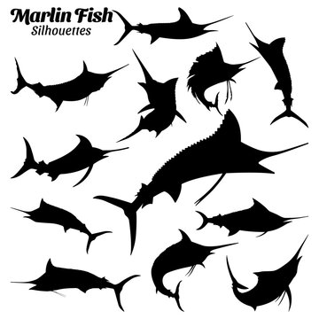 Collection set of marlin fish silhouette vector illustrations.