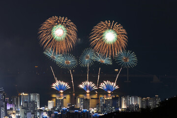 A fireworks event is being held in Gwangalli, Busan, in hopes of holding the 2030 Expo