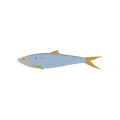 saltwater fish flat design vector illustration. fresh fish icon seafood logo. can be use for restaurant, fishing logo