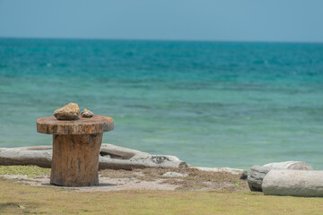 Fototapeta na wymiar shell on the beach over a wooden table by the blue sea