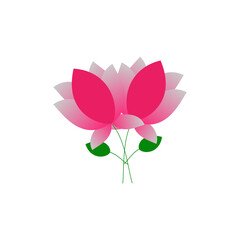 pink lotus flower icon over white background. colorful design.  illustration