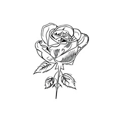 The Beautiful Roses Coloring Book is great for both adults and children.