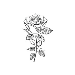 The Beautiful Roses Coloring Book is great for both adults and children.