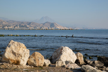 Rocks and Gannets on El Campello Beach, Alicante; Spain - 591559526