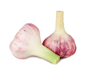 Garlic isolated on white background