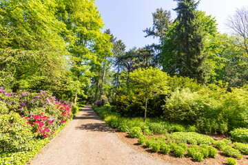 Weg in einem Stadtpark mit viel Grün