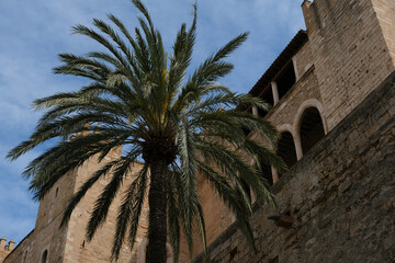 Medieval historic old house facades and stone building old town city skyline with cathedral, palm trees and small alleys in Palma de Mallorca ancient city center downtown	