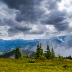 wet mountain valley at foggy cloudy day