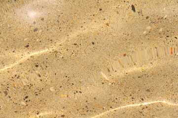 Sea sand texture close up