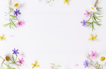 Floral pattern with wildflowers, green leaves, branch on white background. Flat lay