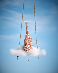 Giraffe sitting on a swing. Freedom and happiness concept.
